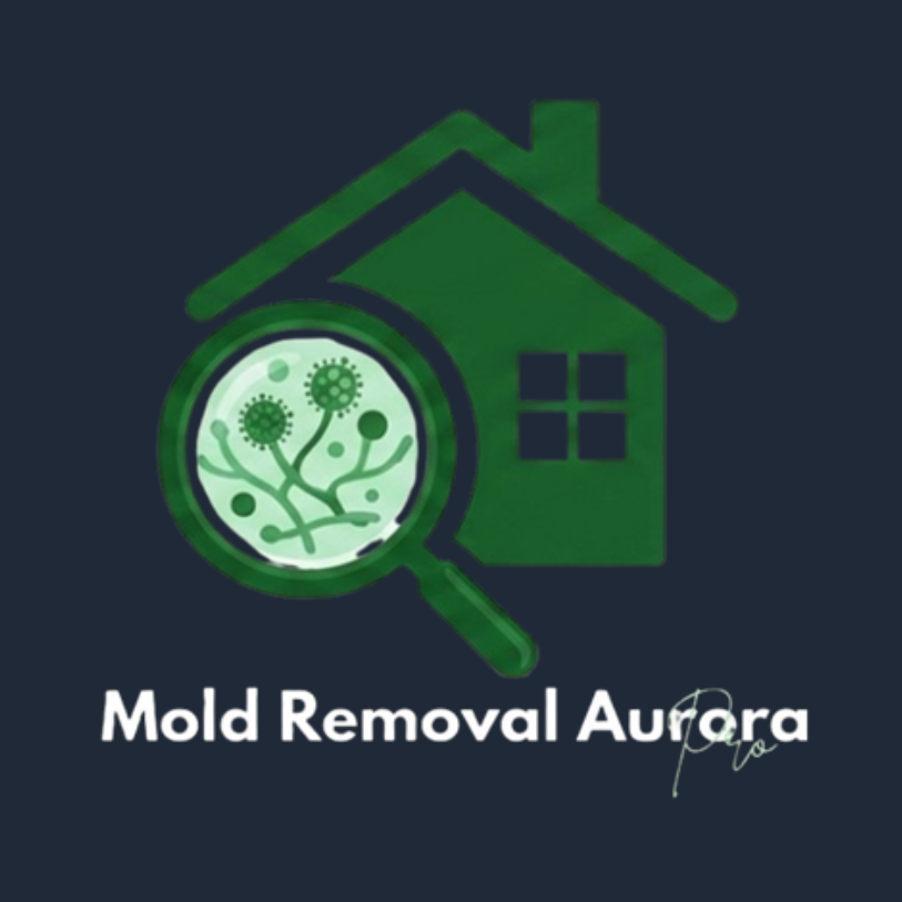 Mold Removal Aurora Pros